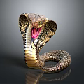 Hooded Cobra With Raised Head And Colorful Scales On Dark Background Reflection