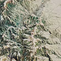 Mountainous Terrain Displaying Rugged Landforms Lush Green Vegetation And Rolling Valleys