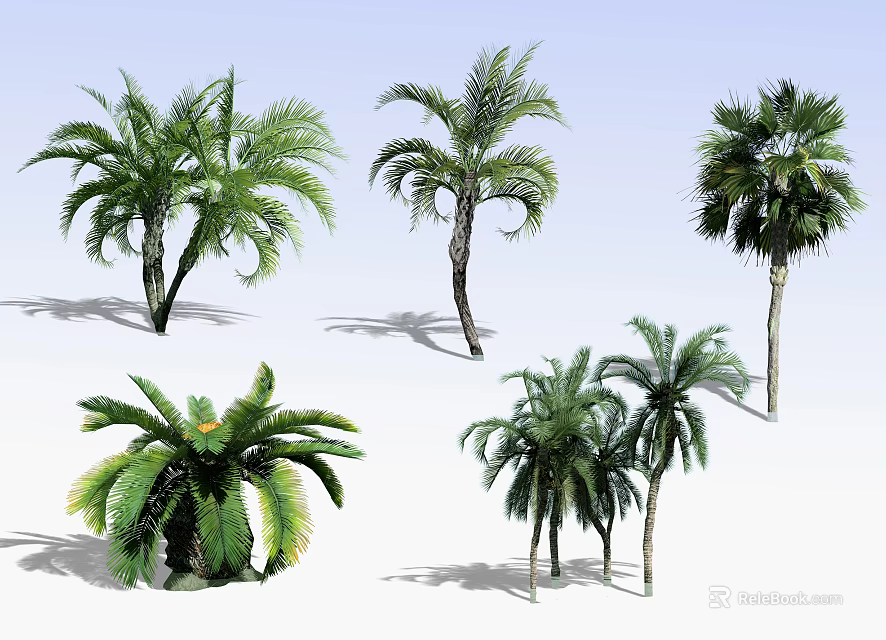 Various Palm Trees With Tall Trunks Lush Fronds And Shadows On Light Blue Background 3d model 