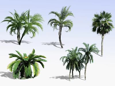 Various Palm Trees With Tall Trunks Lush Fronds And Shadows On Light Blue Background 3d model