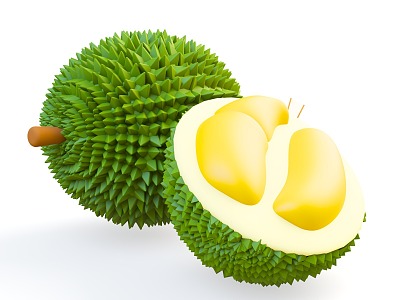 cartoon style fruit durian tropical fruit thailand durian model