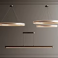 Modern Circular and Linear Pendant Chandeliers with Metallic Frames and Warm Light Glow
