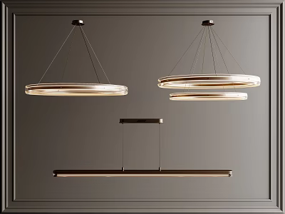 Modern Circular and Linear Pendant Chandeliers with Metallic Frames and Warm Light Glow 3d model