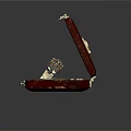 Decorative Ring Weapon Inside Open Red Case With Green Lining And Gold Trim