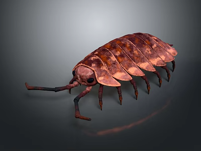 Realistic 3D Rendered Brown Pill Bug With Segmented Body And Long Antennae 3d model