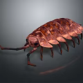 Realistic 3D Rendered Brown Pill Bug With Segmented Body And Long Antennae 3d model