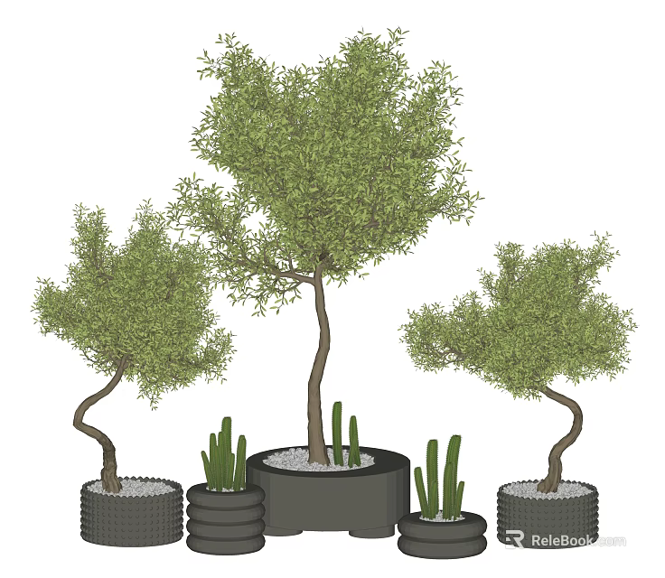 Lush Bonsai Potted Plants With Curved Tree Trunks Green Foliage And Cactus In Black Pots 3d model 