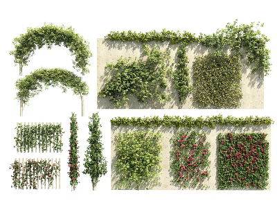 Vine Plants With Various Arches Wall Decor And Green Flowering Designs 3d model