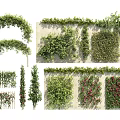 Vine Plants With Various Arches Wall Decor And Green Flowering Designs