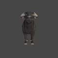 Game Movie Character 3D Model of Buffalo With Green Background and Realistic Details
