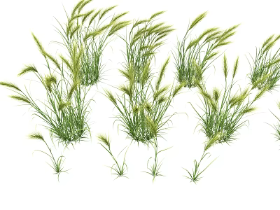 Fresh Green Decorative Grass Clumps For Garden And Home Landscape 3d model