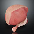 3D Rendered Human Liver Model For Medical Education And Anatomical Study