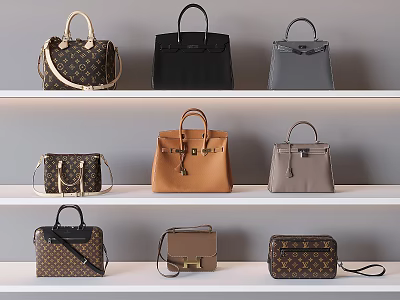Various Luxury Designer Handbags Displayed In Different Styles On Shelves 3d model