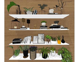 Modern wall shelf books potted plant ornaments 3d model