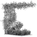 Lush Green Vines Growing On Wooden Lattice For Natural Garden Decor