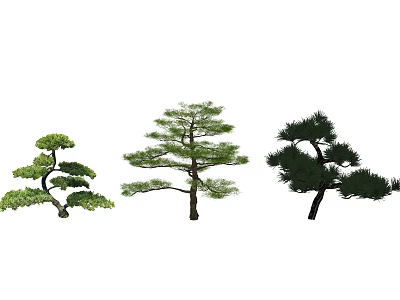 Different Shaped Arbor Trees with Lush Foliage and Unique Branch Structures 3d model