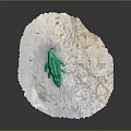 Green Crocodile Toy Placed on White Irregular Edged Circular Object with Grey Background