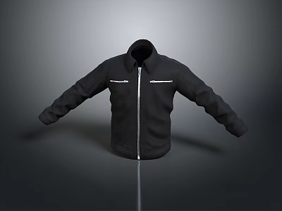 Black Jacket With Stand Collar Zipper Closure Featuring White Stripe And Simple Design 3d model