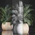 Green Palm Leaf Bonsai Potted Plants In Woven Basket Planters For Home Decor