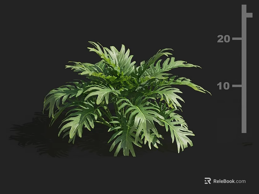 Vibrant Healthy Lush Green Plant Featuring Feathery Leaves Against Dark Background 3d model 