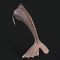 Spiked Elongated Aquatic Fish With Textured Body Sharp Fins And Dorsal Spines