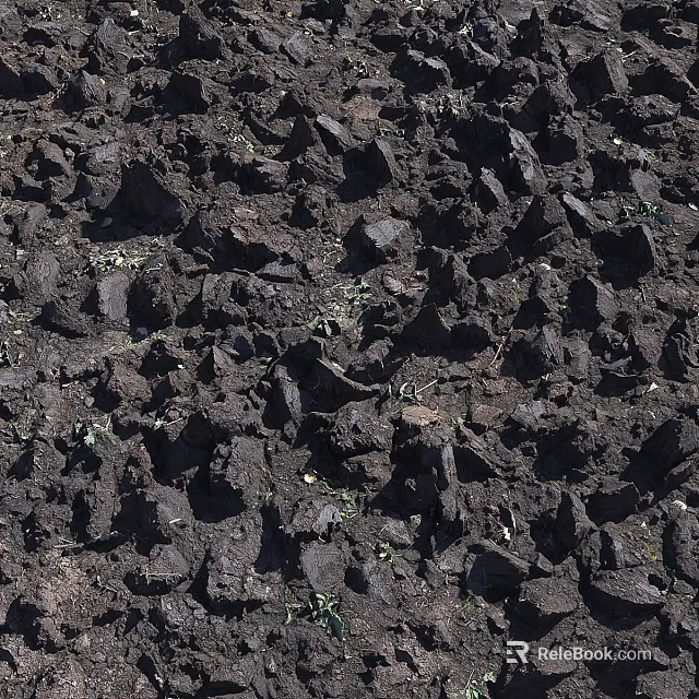 Natural Soil Components With Clods Stones And Small Plant Shoots 3d model 