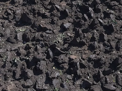 Natural Soil Components With Clods Stones And Small Plant Shoots 3d model