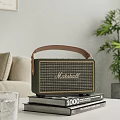 Living Room Interior With Marshall Speaker On Books Sofa And Potted Plant