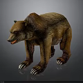 Realistic Brown Bear 3D Model With Brown Fur Sharp Claws And Open Mouth