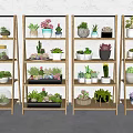 Assorted Bonsai and Potted Plants Display on Bamboo Shelves with Decorative Pots