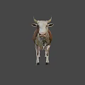 Brown And White Cow With Horns Standing On Gray Background