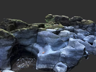 Natural Microtopography With Irregular Rock Formations Moss And Textured Surfaces 3d model