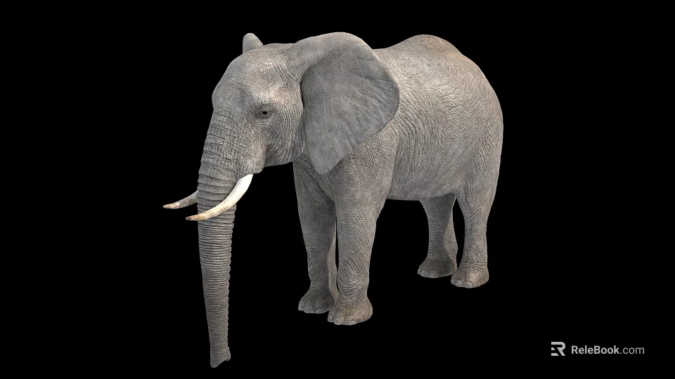 Colorful Reptile Lizard Basking On Warm Rock In Sunny Environment 3d model 