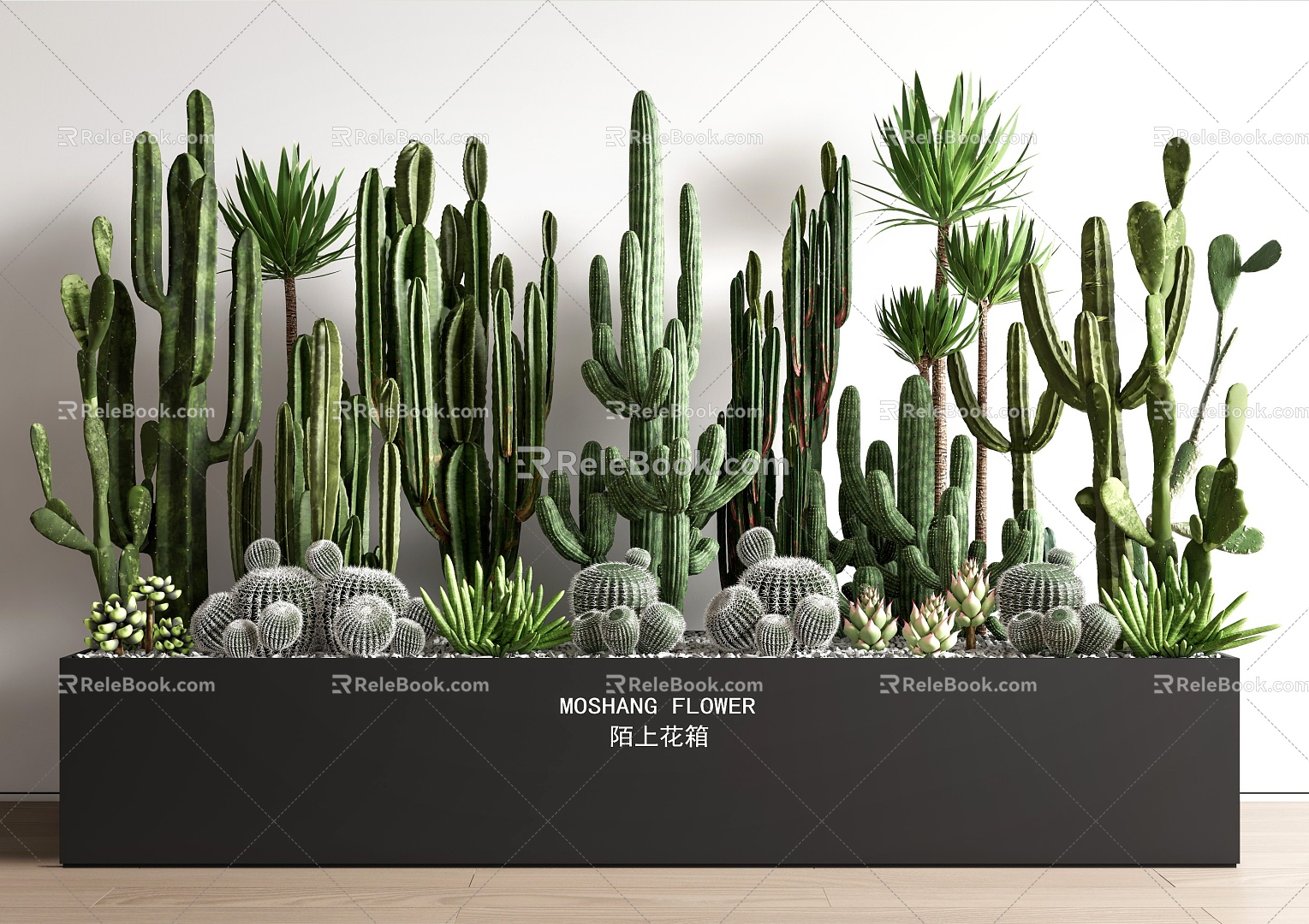 succulent plant cactus potted plant potted plant combination fleshy flower box landscape landscaping model