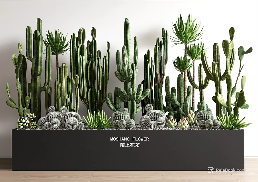 Diverse Bonsai Potted Plants with Cactus and Succulents in Black Long Planter 3d model 