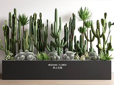 succulent plant cactus potted plant potted plant combination fleshy flower box landscape landscaping model