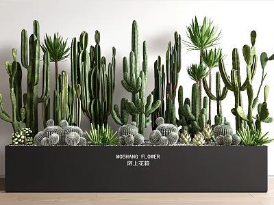 Diverse Bonsai Potted Plants with Cactus and Succulents in Black Long Planter 3d model