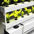 Indoor Vertical Farming Equipment With Multiple Shelves For Green Leafy Plants