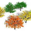 Modern Tree Maple Leaf 3d model