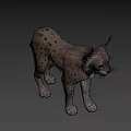 Realistic 3D Model of Lynx With Spotted Fur and Pointed Ears Standing