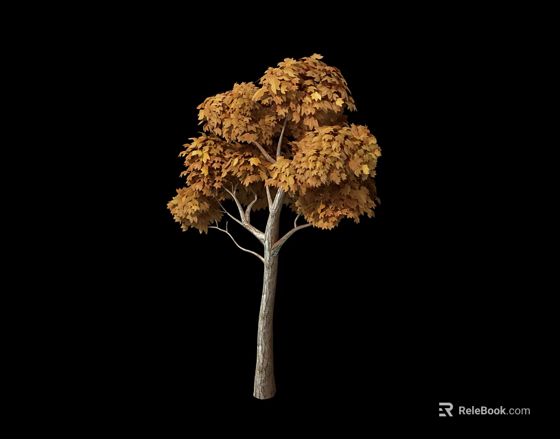 Yellow Leafed Arbor With Brown Trunk And Lush Canopy On Black Background 3d model