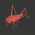 grasshopper insect cartoon locust animation locust anime locust anime game character 3d model