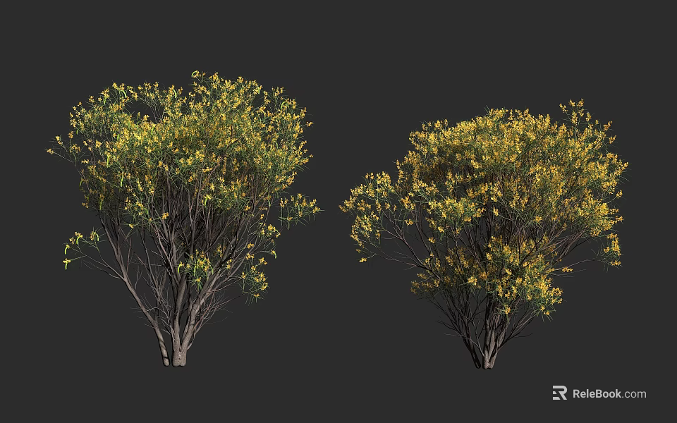 Two Dense Shrubs With Green Leaves And Yellow Flowers On Branches 3d model 