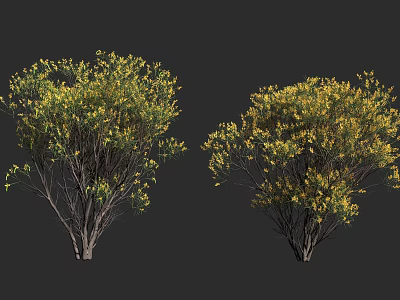 Two Dense Shrubs With Green Leaves And Yellow Flowers On Branches 3d model