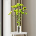 Fresh Green Poppies In Slender Transparent Glass Vase On White Round Table