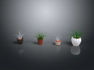 Four Different Plants in Various Colored and Shaped Pots on Grey Background with Reflection 3d model