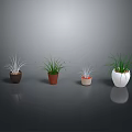Four Different Plants in Various Colored and Shaped Pots on Grey Background with Reflection