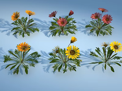 Colorful Garden Flowers With Yellow Red Petals And Green Leaves 3d model