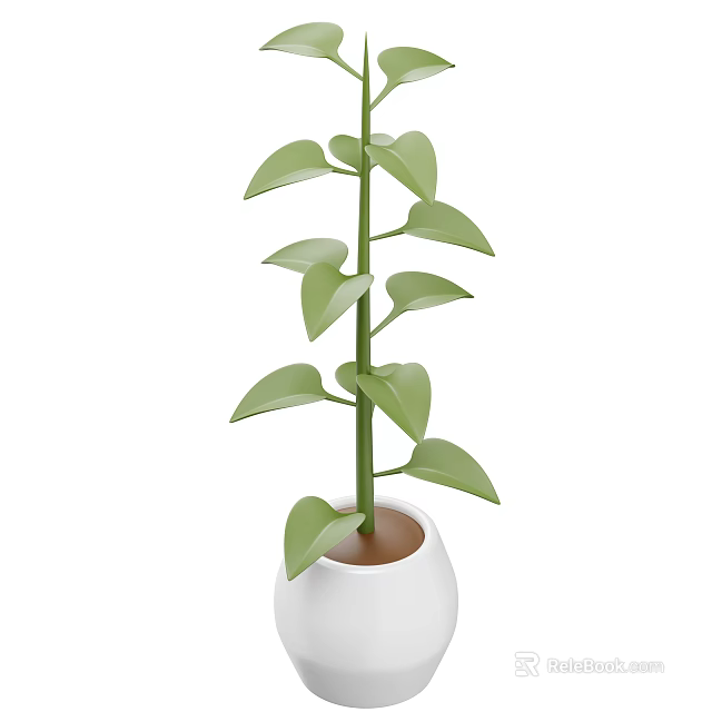Green Leafy Houseplant With Slender Stem In White Pot And Brown Soil 3d model 