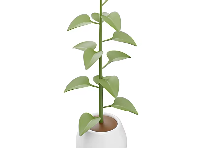 Green Leafy Houseplant With Slender Stem In White Pot And Brown Soil 3d model
